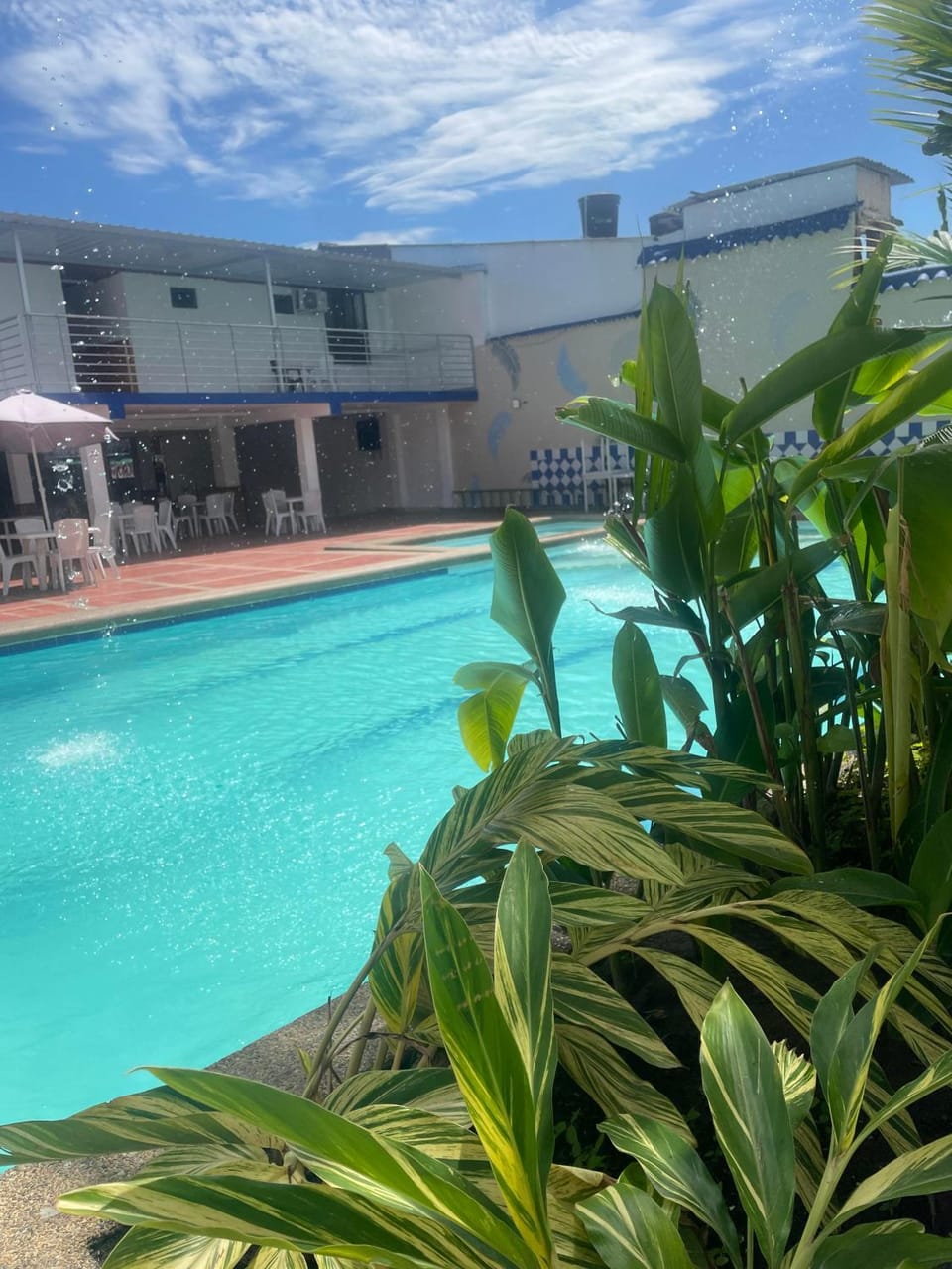 Swimming pool