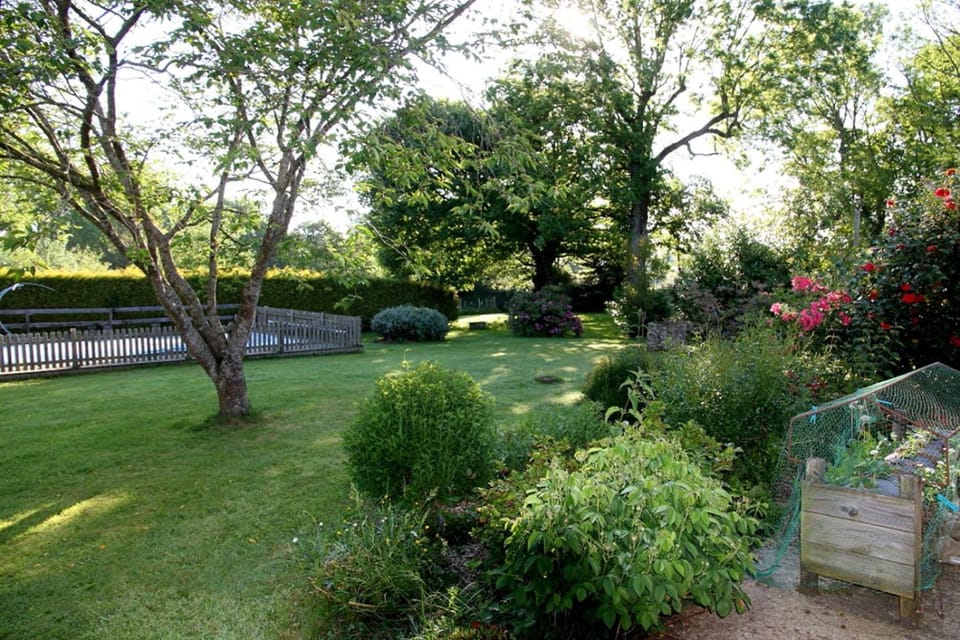 Garden, Swimming pool
