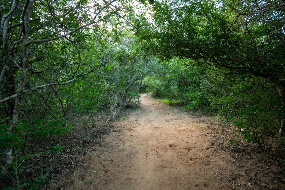 Wild Trails Yala by Suri Luxury tent in Southern Province