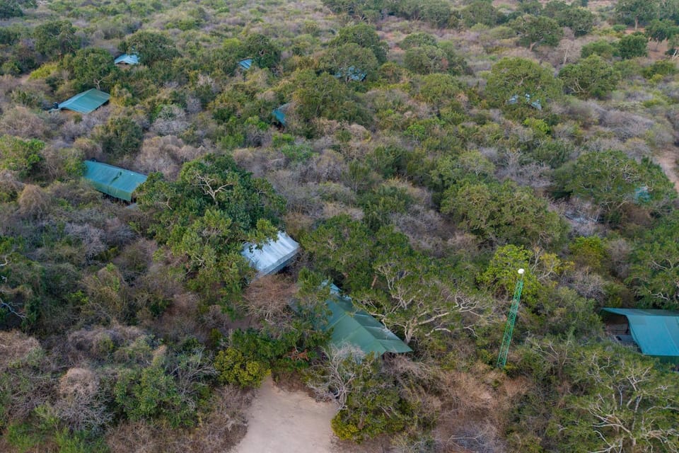 Wild Trails Yala by Suri Luxury tent in Southern Province