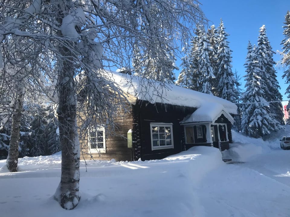 Lillfallet mysig fjällstuga med bästa läge på fjället Villa in Sweden