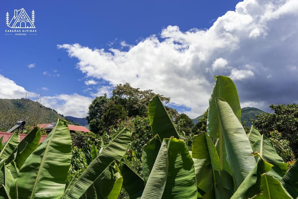Natural landscape