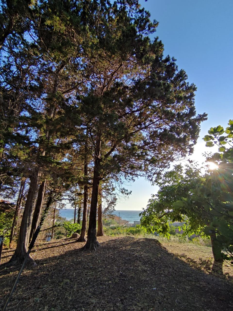 Natural landscape