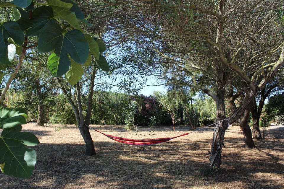 Natural landscape, Garden, Garden view