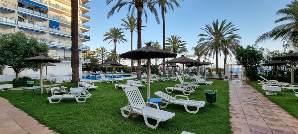 Natural landscape, Garden, Swimming pool, sunbed