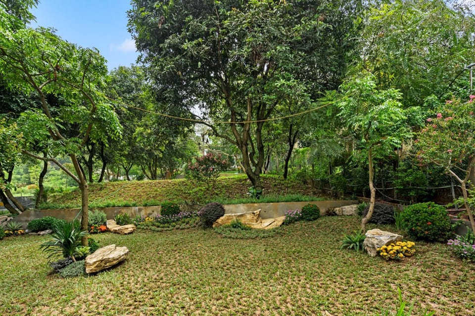 Garden