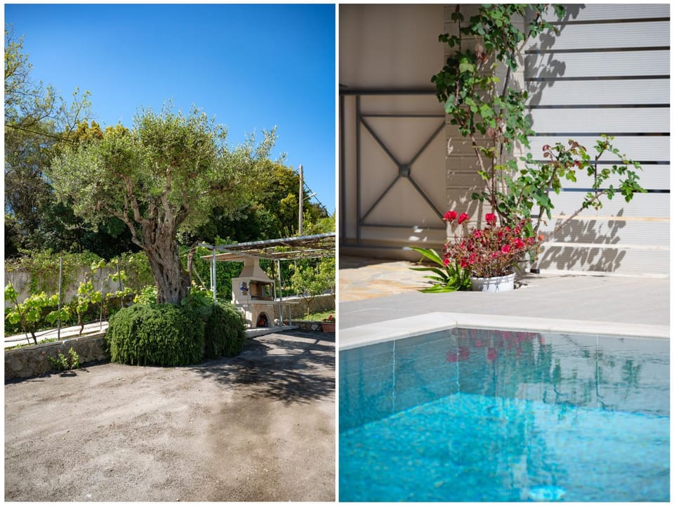 Patio, Day, Garden, Garden view, Pool view, Swimming pool