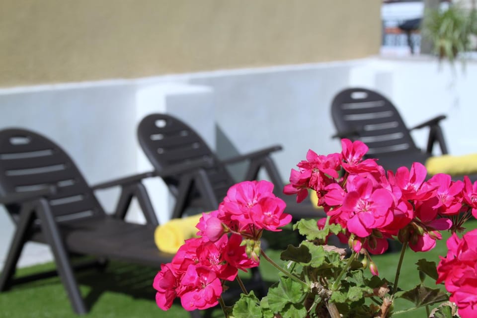 Garden, Garden view