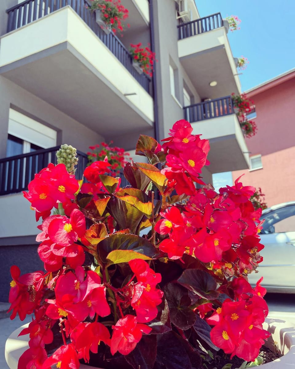 SREBRNA Kap Apartment in Vojvodina