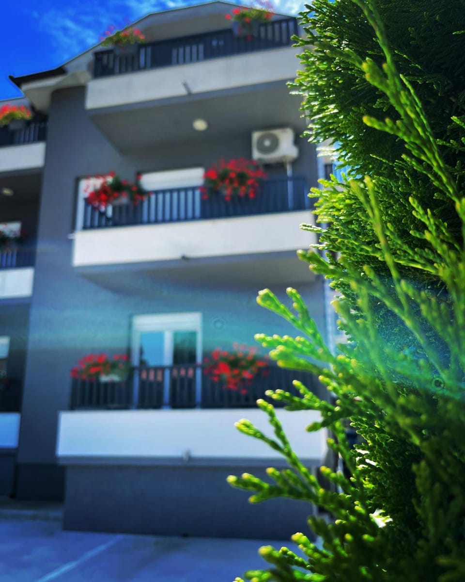 SREBRNA Kap Apartment in Vojvodina