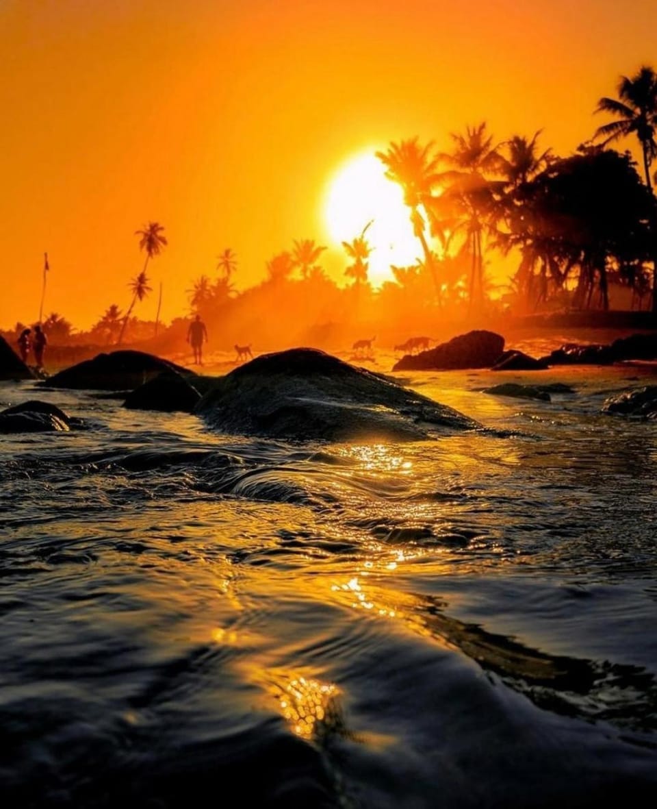 Natural landscape, Sunset