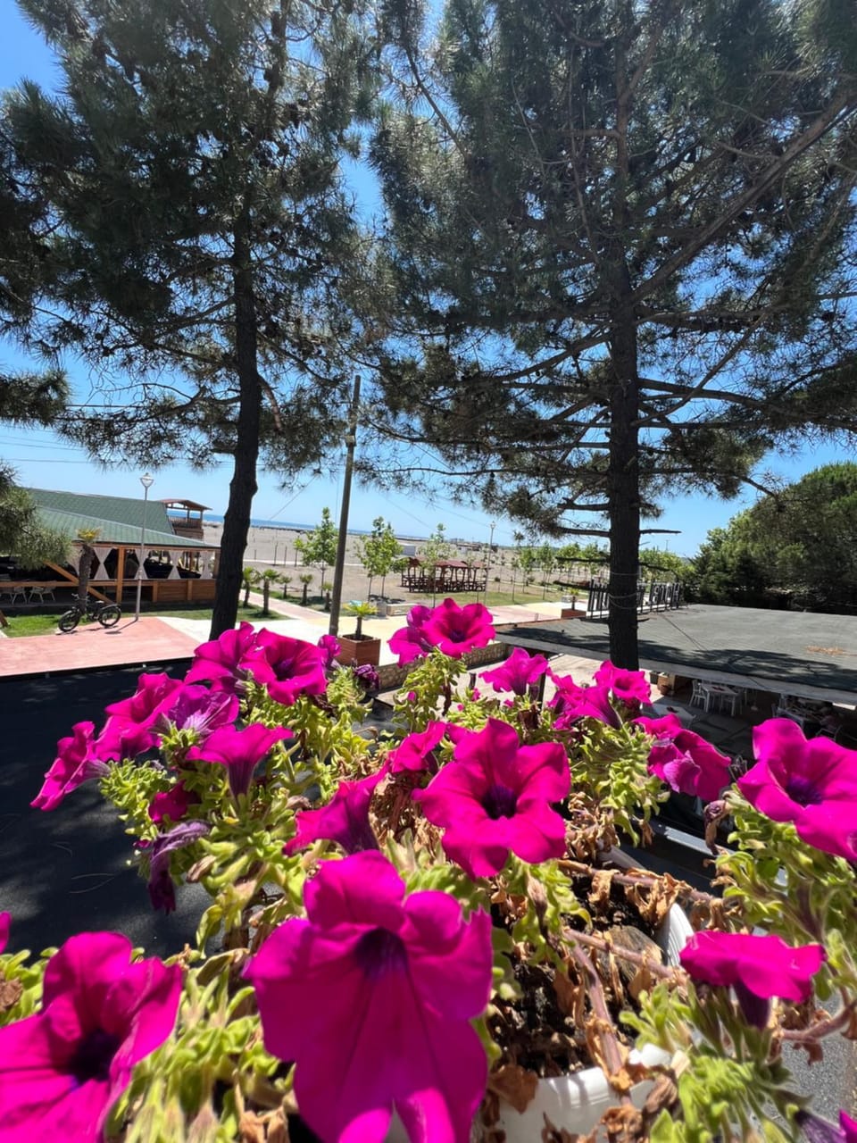 Balcony/Terrace, Sea view