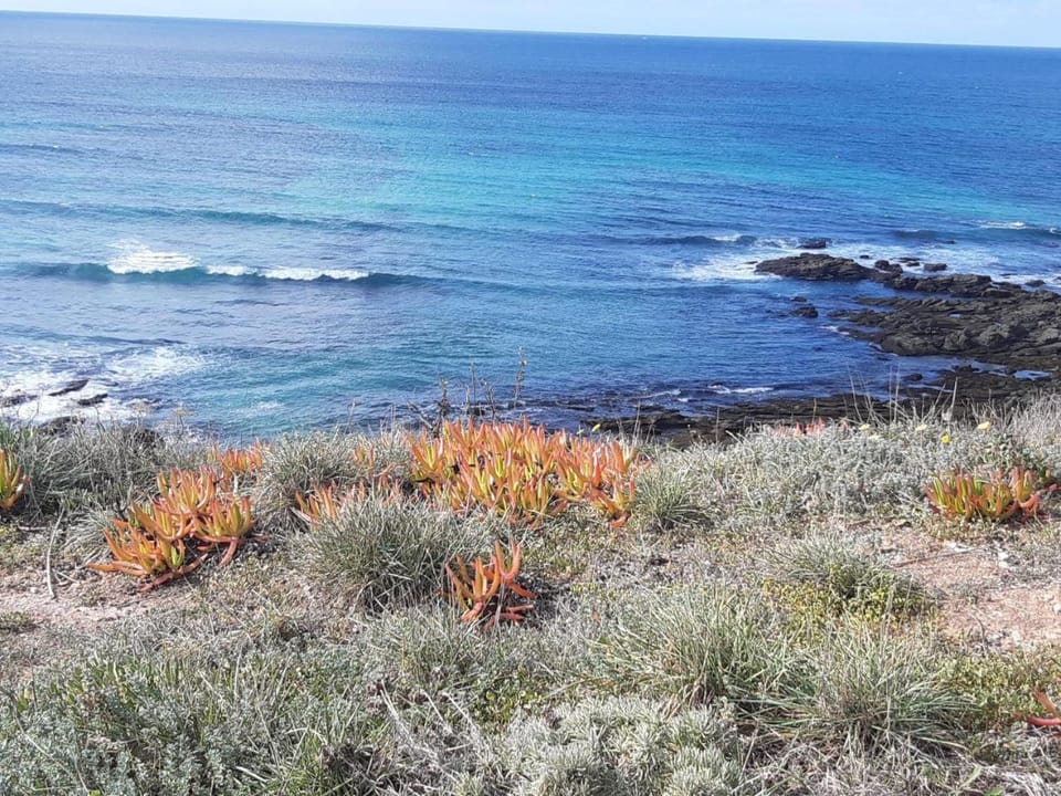 Natural landscape
