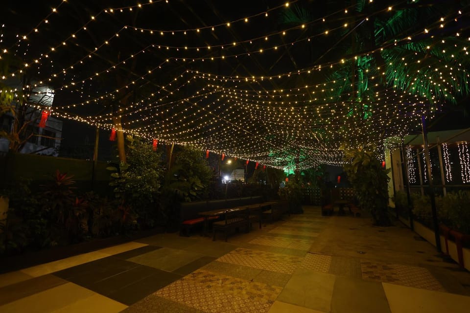 Night, Natural landscape, Garden, Garden view