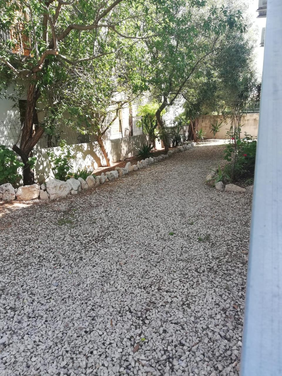 Garden, Garden, Garden view