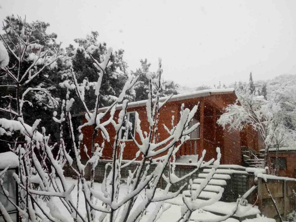 Wooden Cottages - Mtskheta Apartment in Tbilisi