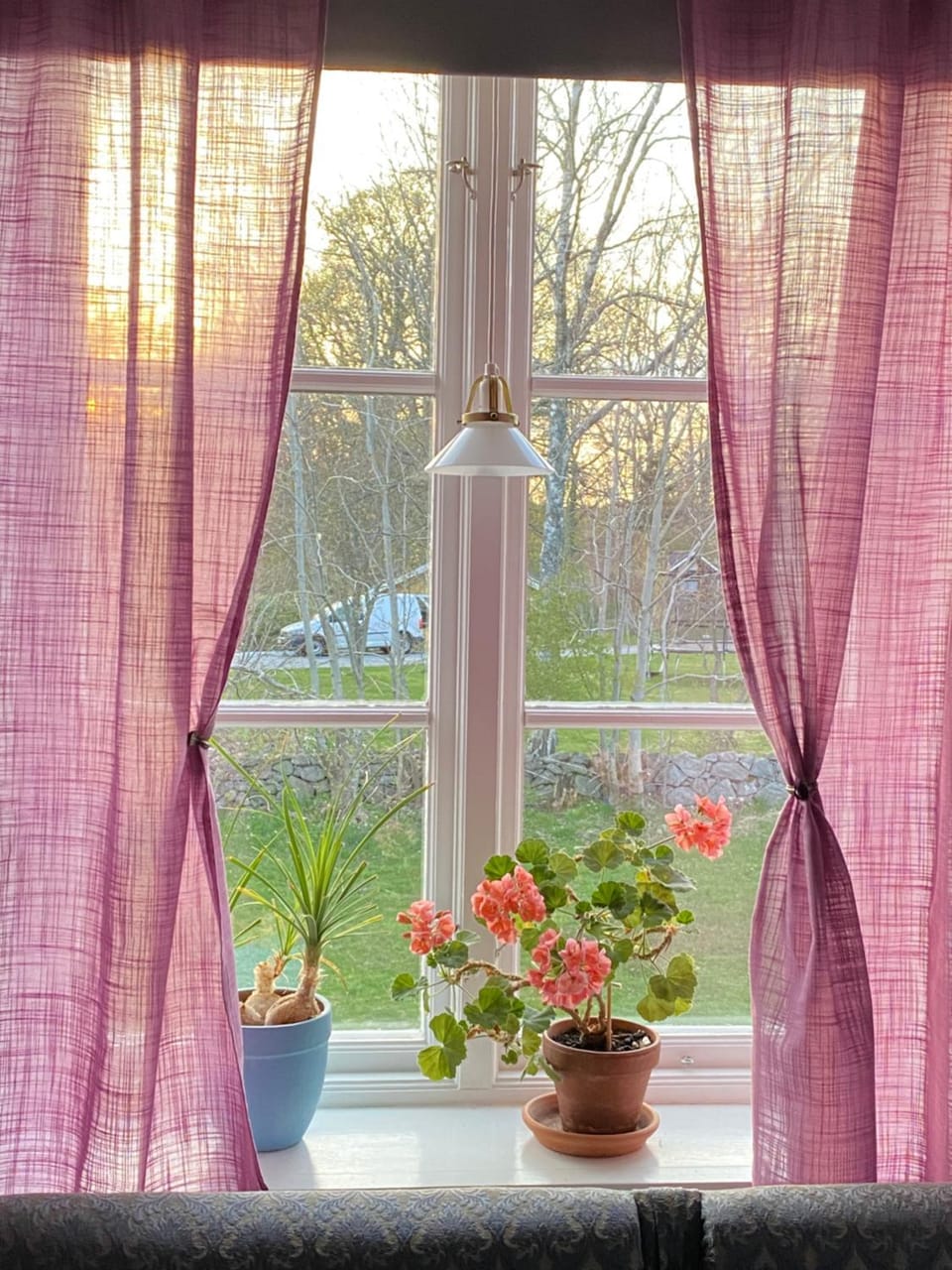 Garden view