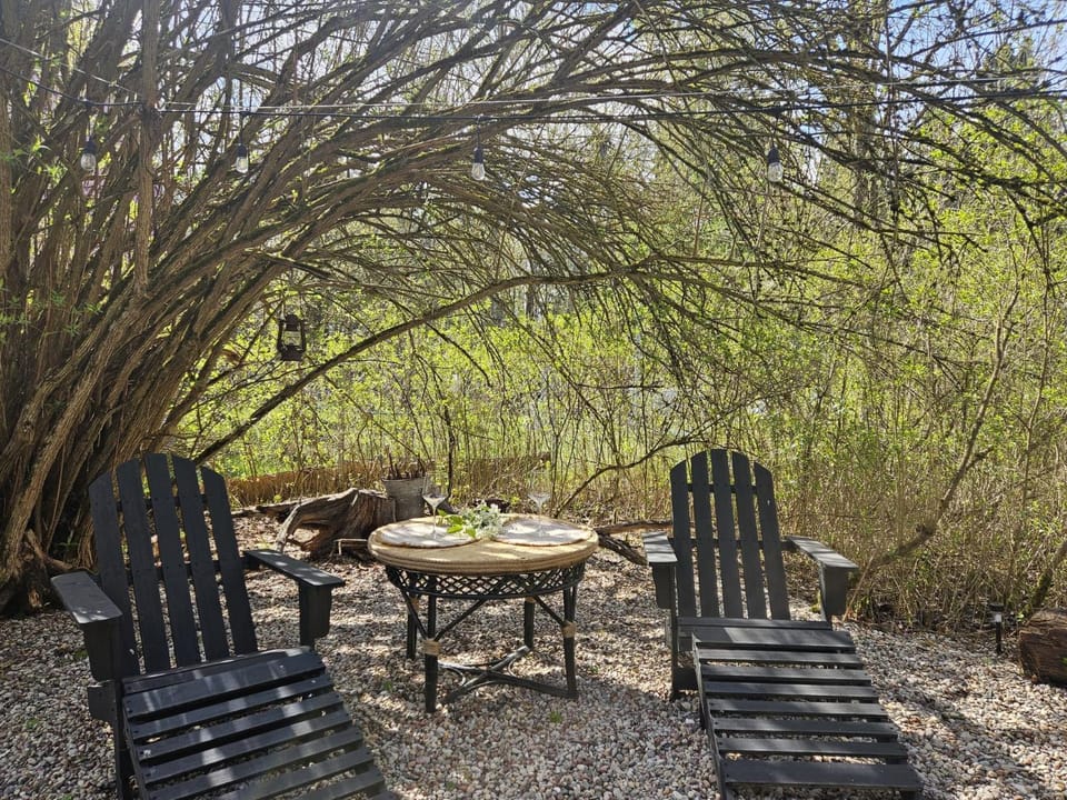 Spring, Day, Natural landscape, Garden, Garden view