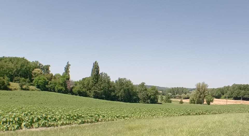 Gite Magic Couples only one level spacious Gite House in Nouvelle-Aquitaine