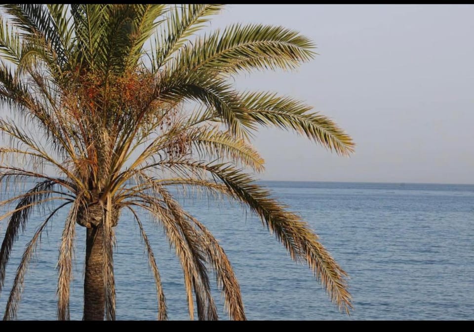 Beach, Sea view