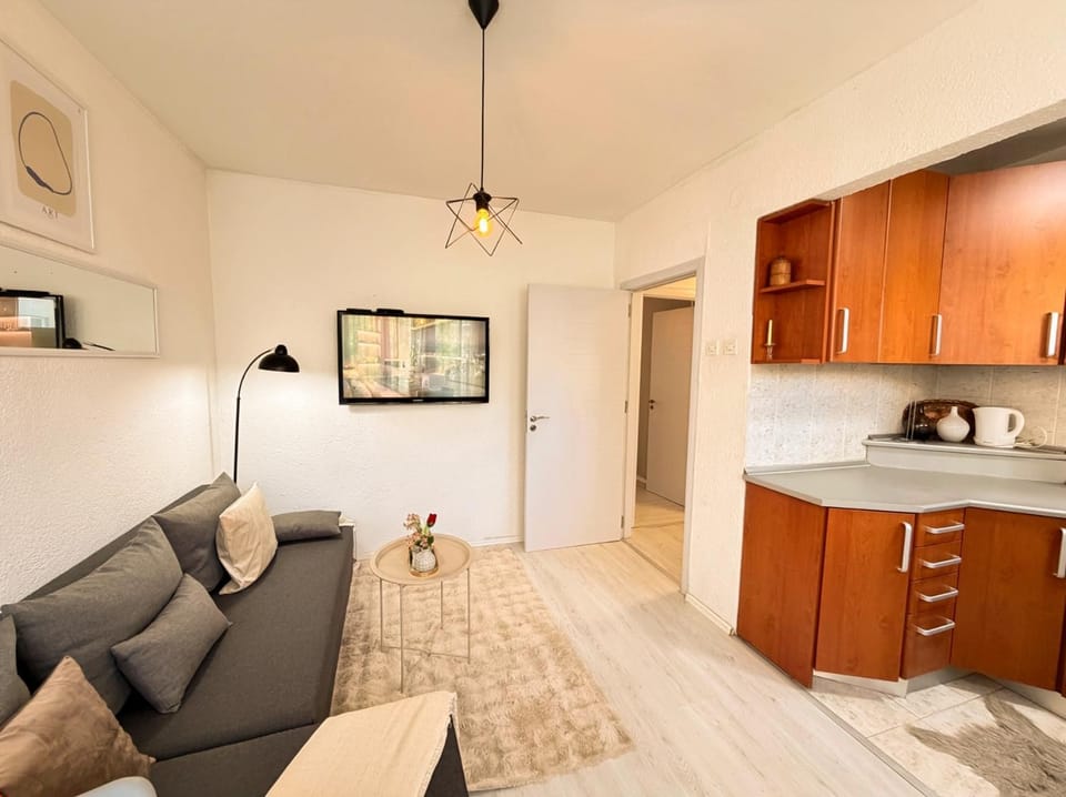 Hotspot Apartment- Spacious Two-Bedroom in City Centre Apartment in Serbia