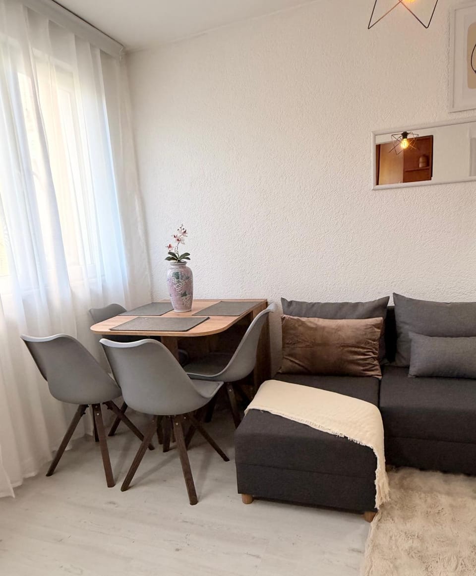 Hotspot Apartment- Spacious Two-Bedroom in City Centre Apartment in Serbia