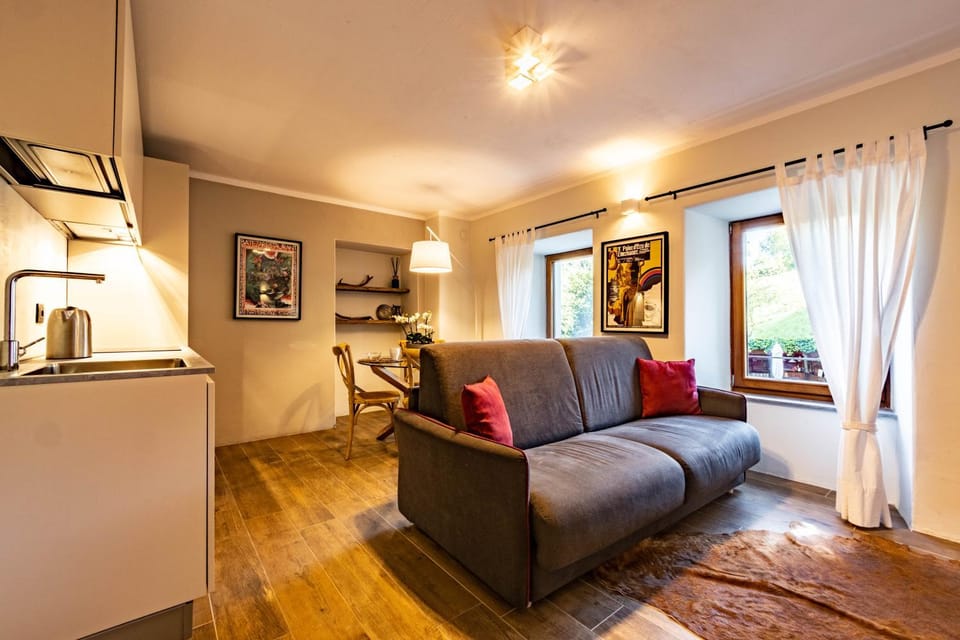 Living room, kitchen