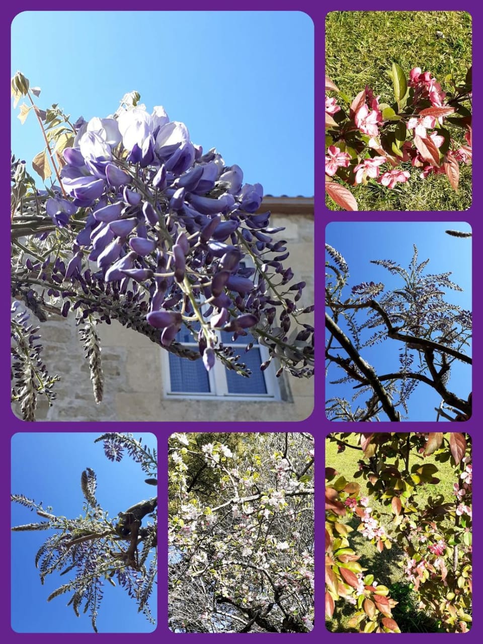 L'Heureux Lay Bed and Breakfast in Pays de la Loire