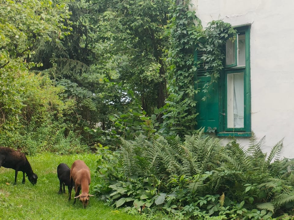 Willa Gaszek Apartment in Masovian Voivodeship