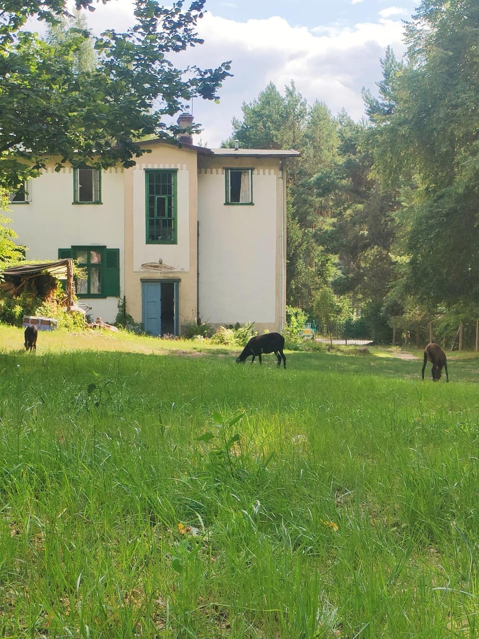 Willa Gaszek Apartment in Masovian Voivodeship