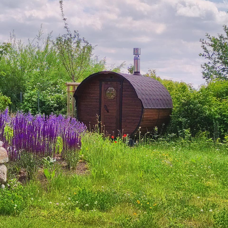Garden, Sauna, Garden view