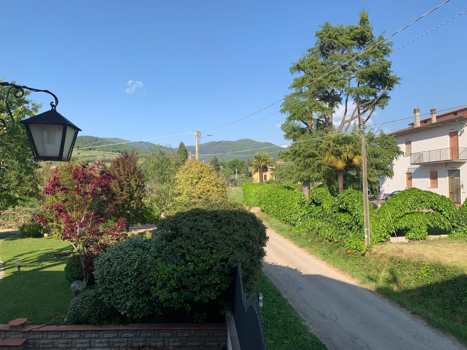 Quiet street view