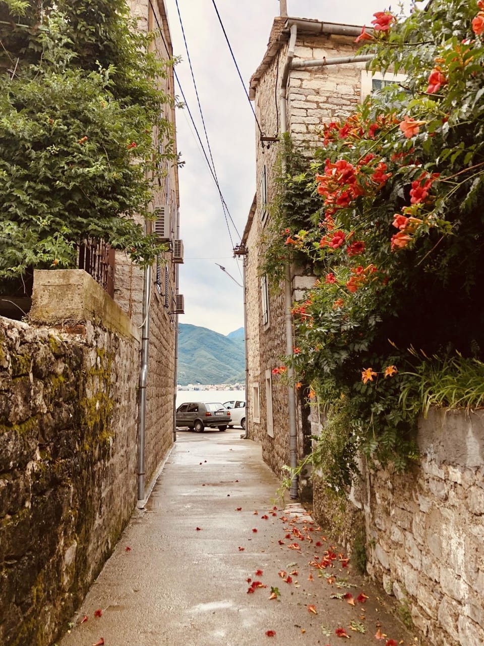 Mountain view, Sea view, Quiet street view