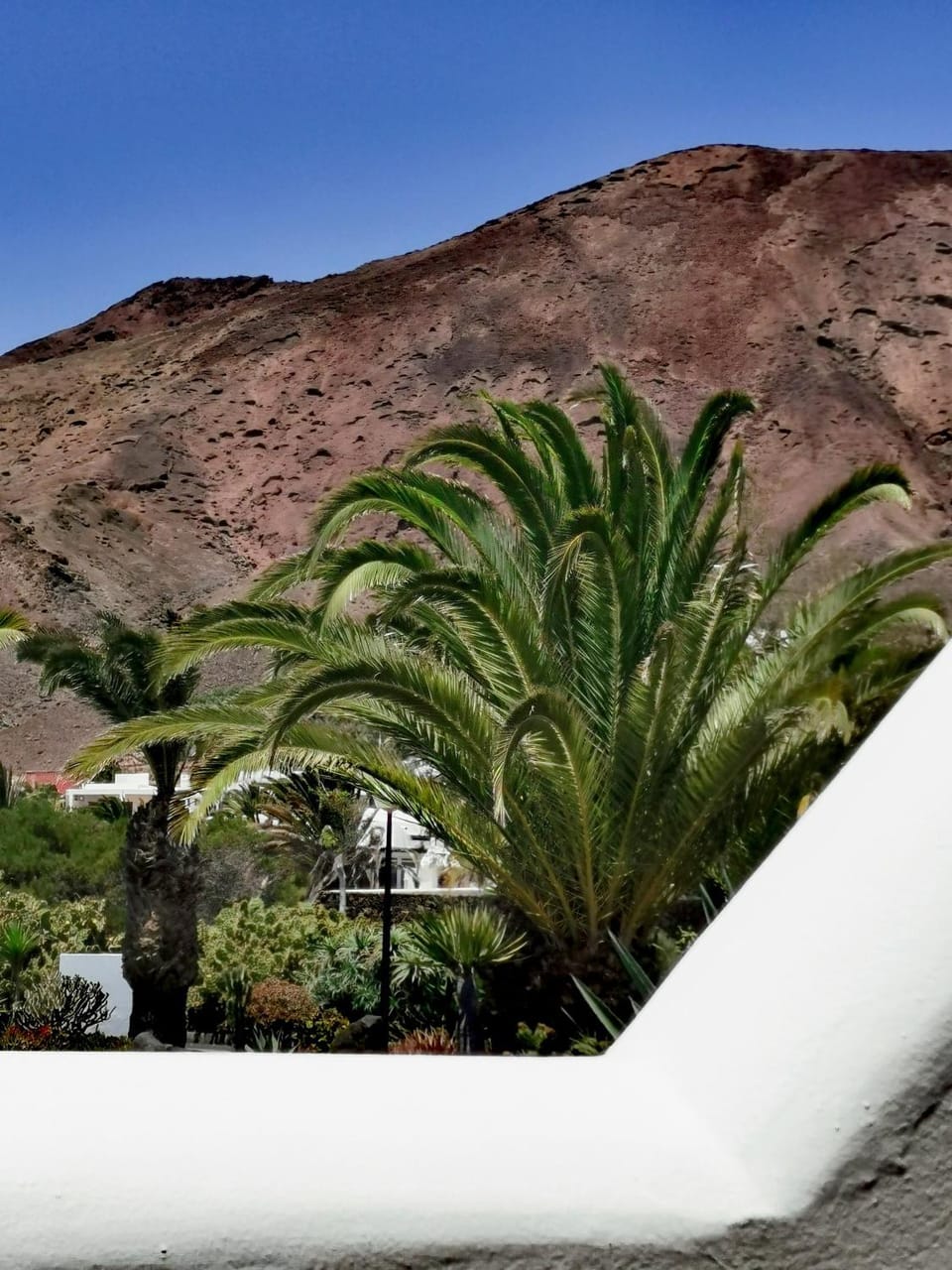 View (from property/room), Mountain view