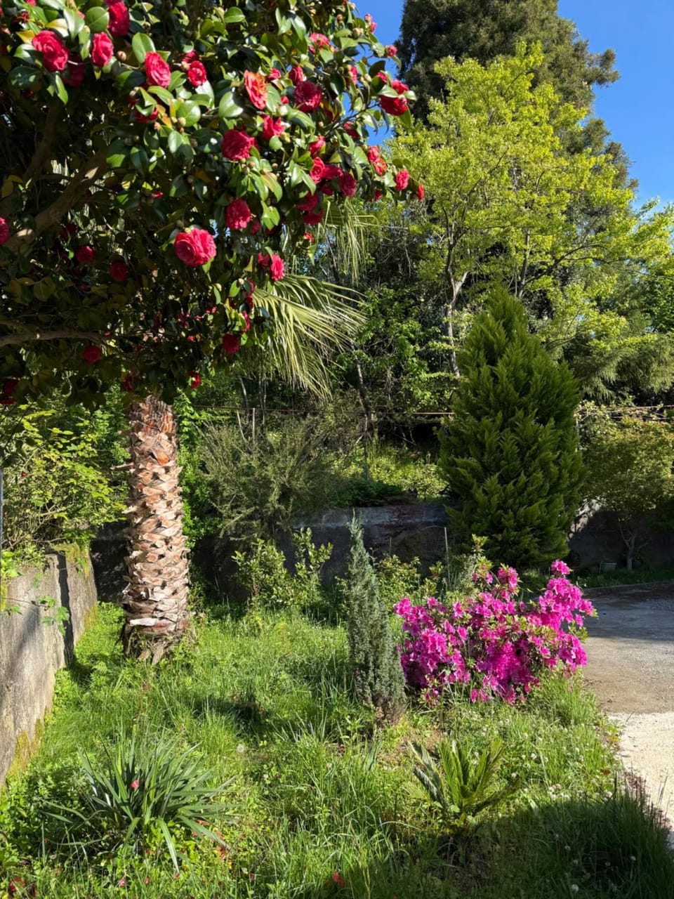 Maia's house Bed and Breakfast in Batumi