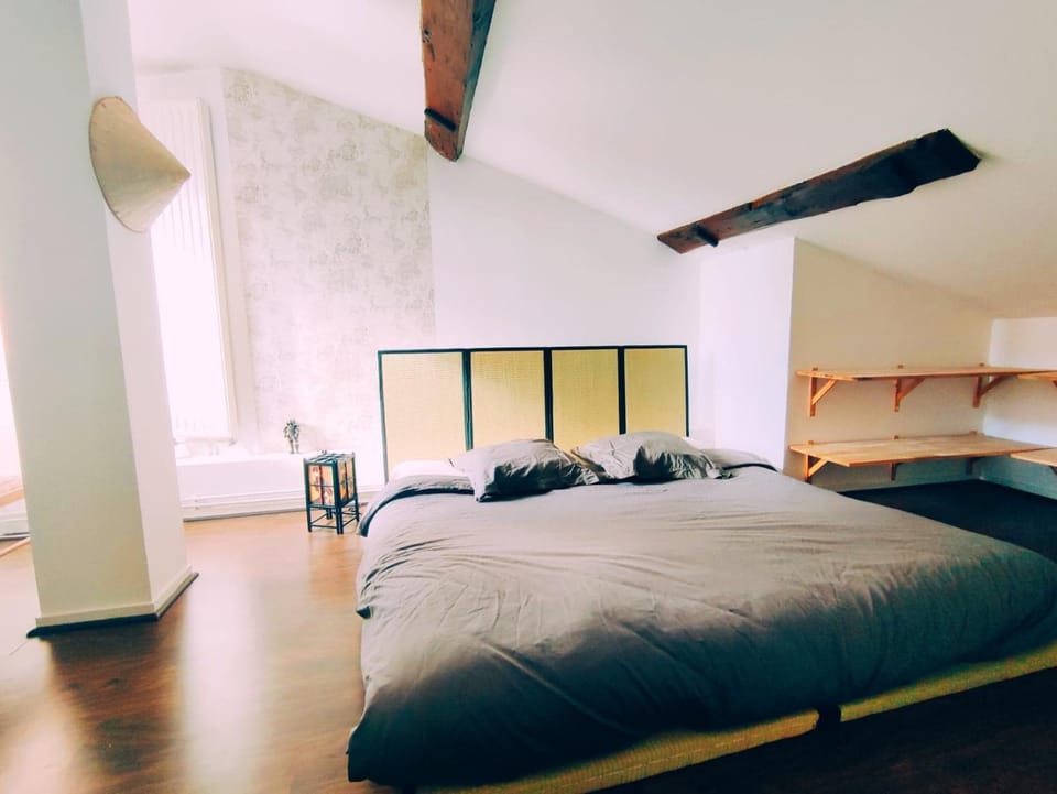 Superbe appartement duplex centre ville de Macon Apartment in Bourgogne-Franche-Comté