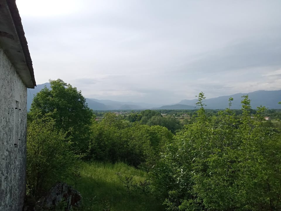 View (from property/room)