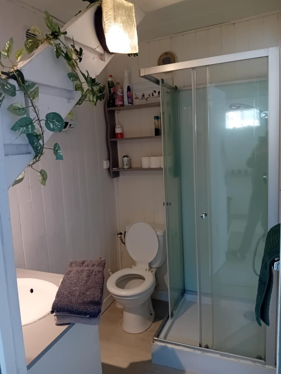 Shower, Toilet, Bathroom, towels
