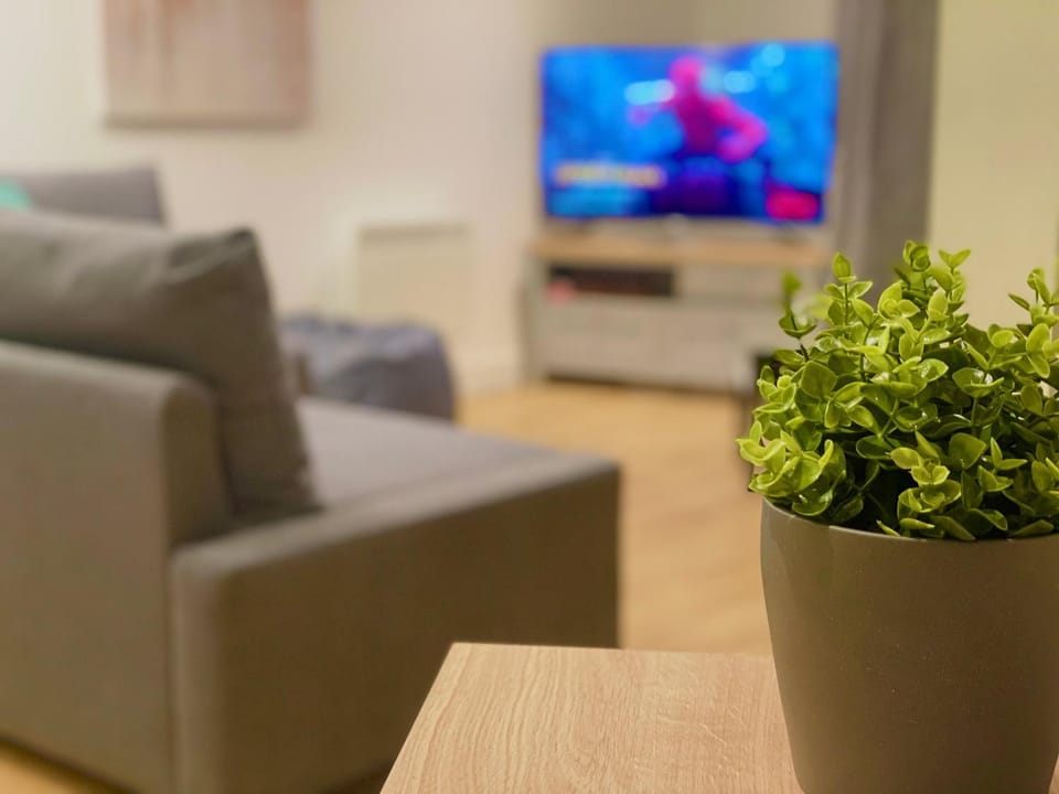 TV and multimedia, Living room