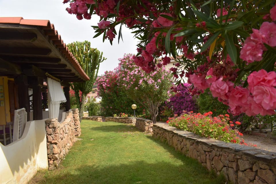 Property building, Garden