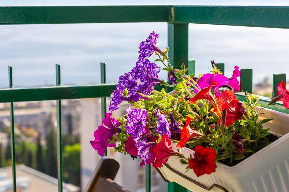 Day, View (from property/room), Balcony/Terrace