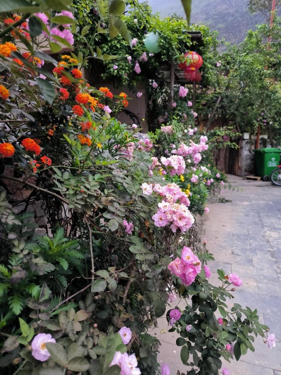 Spring, Garden view