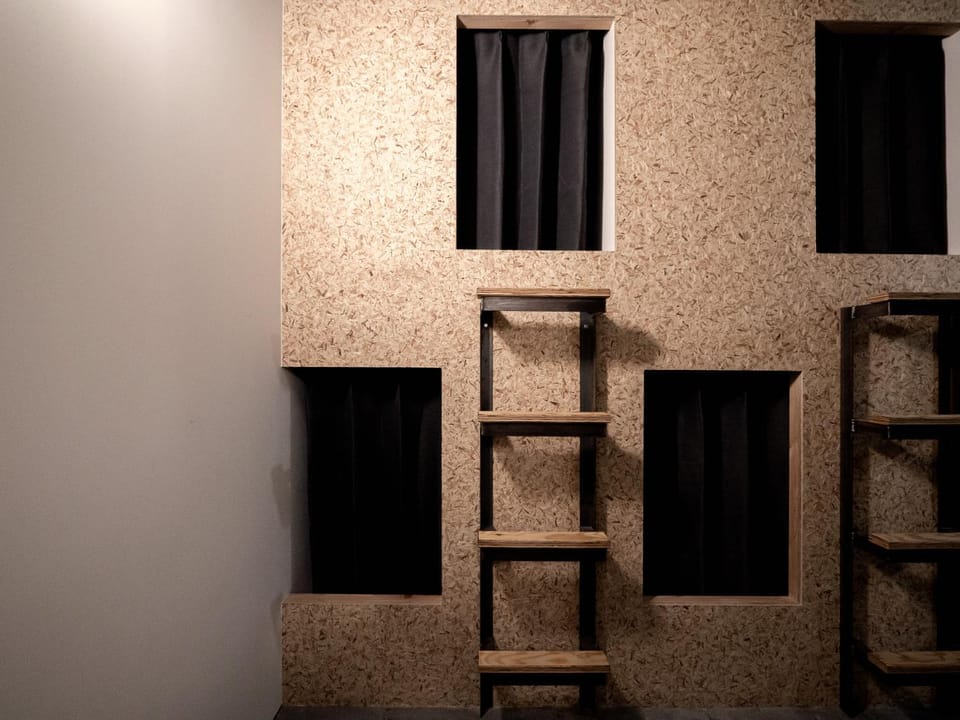 bunk bed