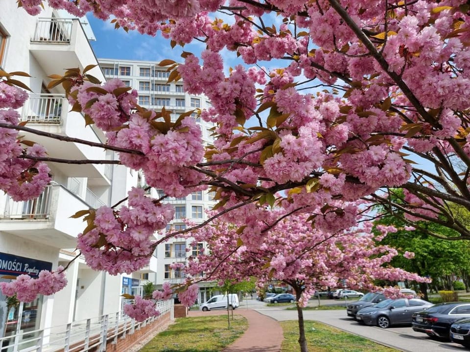 Neighbourhood, Street view