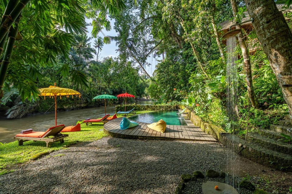 Natural landscape, Garden, Swimming pool