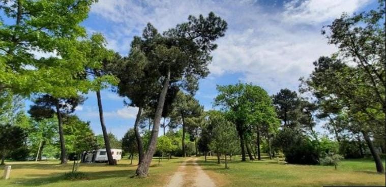 Natural landscape, Garden