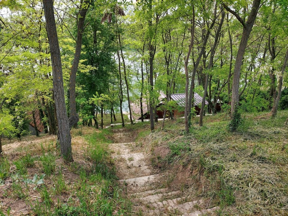 Vikendica House in Vojvodina