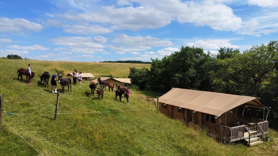 Patio, Day, People, Natural landscape, View (from property/room), Animals, group of guests