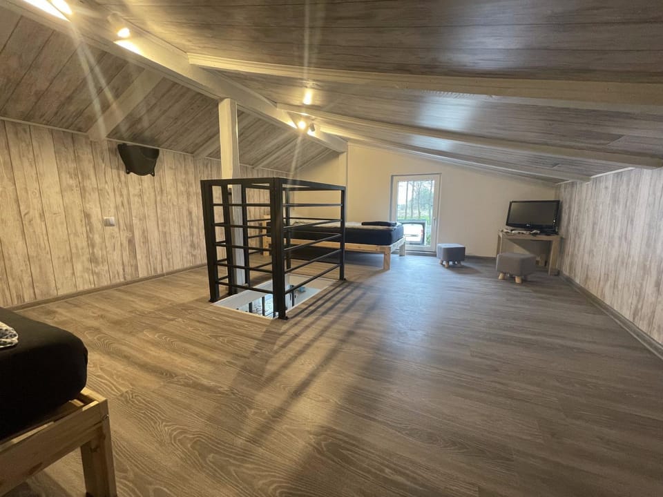 Communal lounge/ TV room, TV and multimedia, Seating area