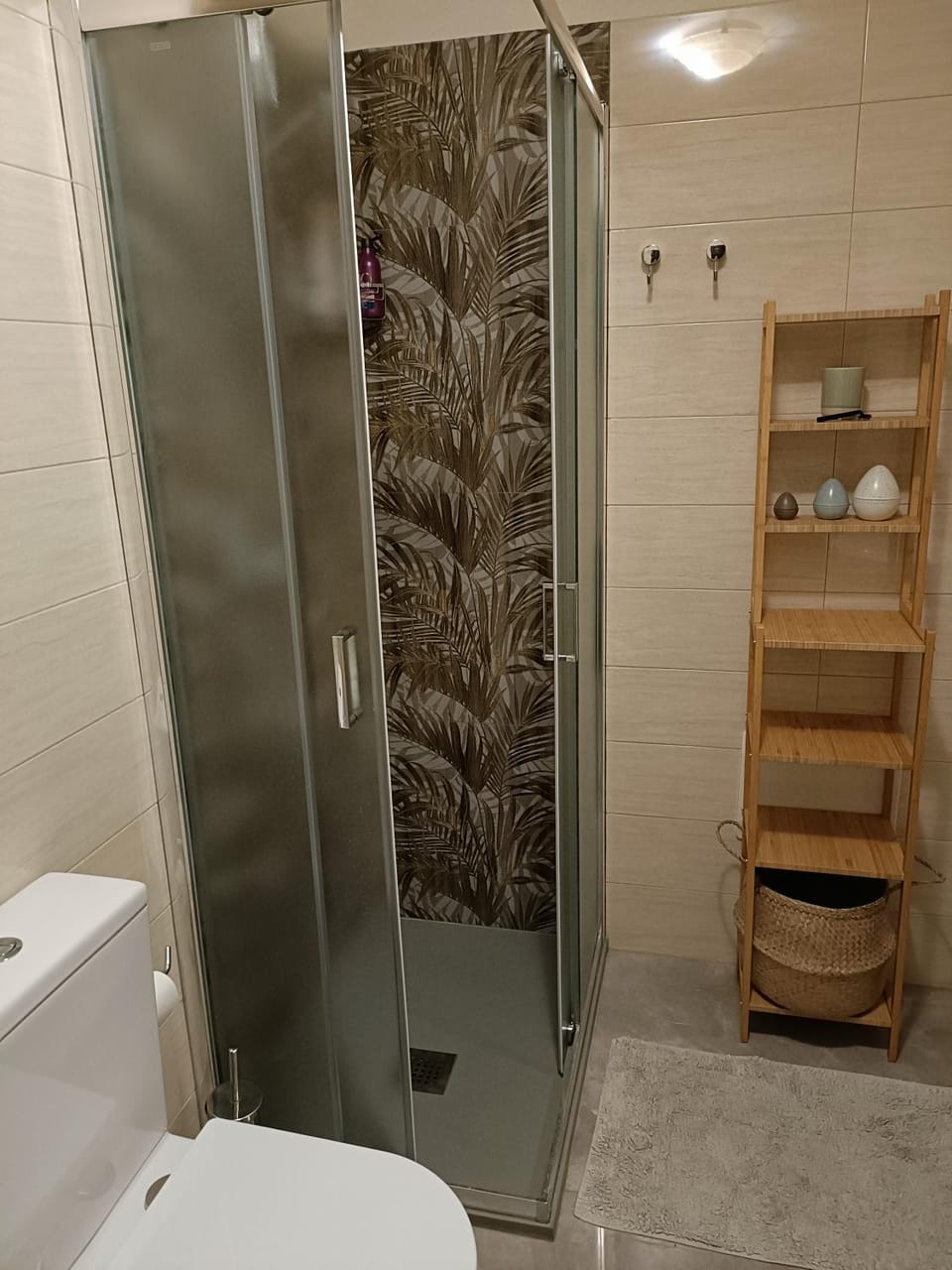 Shower, Toilet